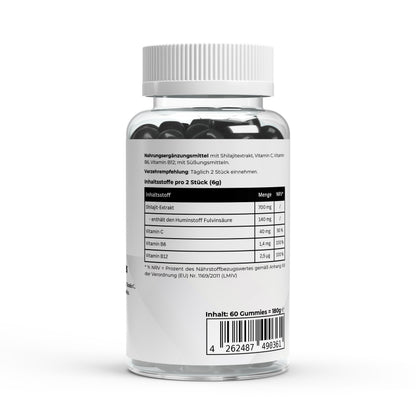 Shilajit Gummies + Vitamin C,B6, B12 - 60 pcs.